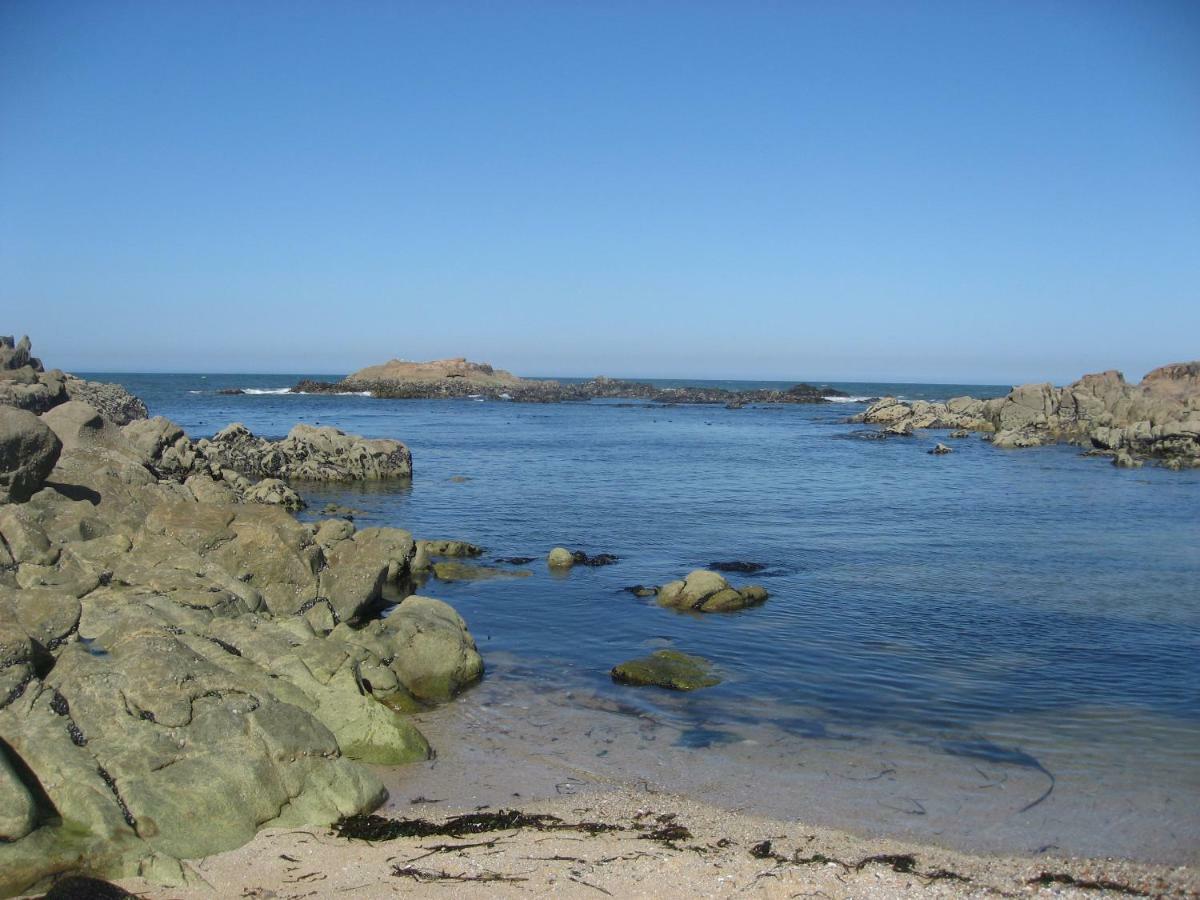 Matosinho'S Palace Matosinhos  Ngoại thất bức ảnh